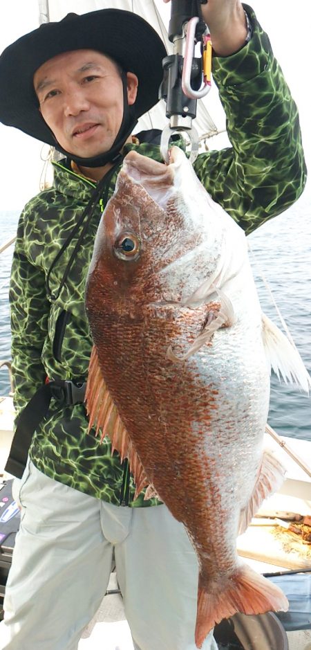 ズズキ・鯛・アコウ・ハマチ